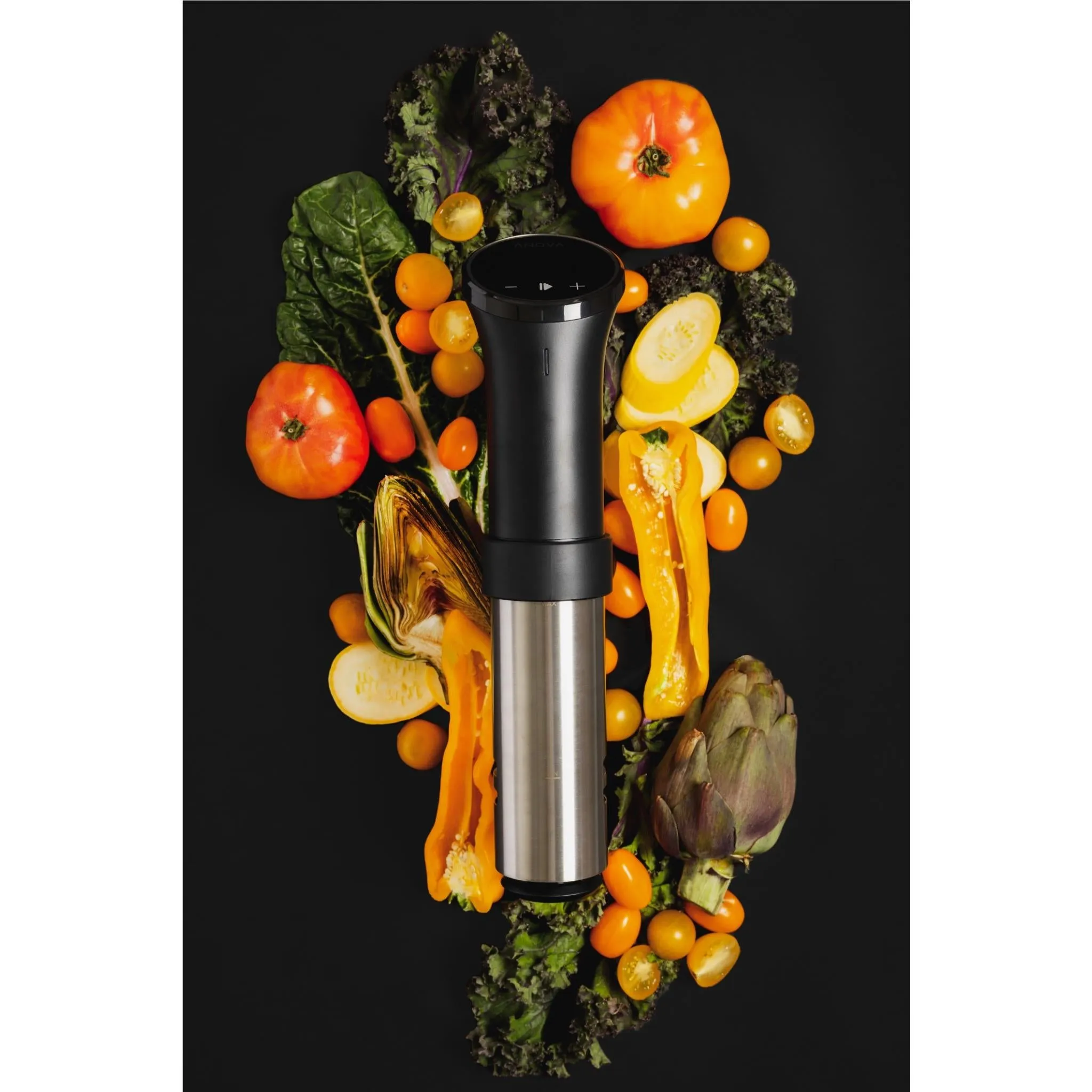 Anova Precision Cooker 3.0 Sous Vide Circulator