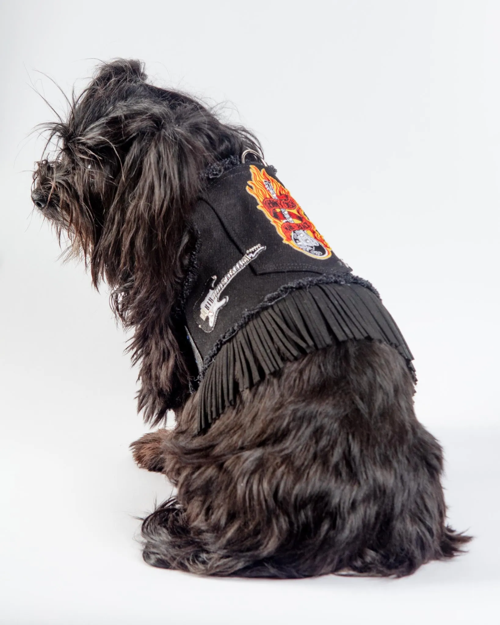 Black Denim Cowboy Dog Harness (Made in the USA)