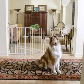 Extra Tall Maxi Walk-Thru Gate with Bonus Mini Pet Door